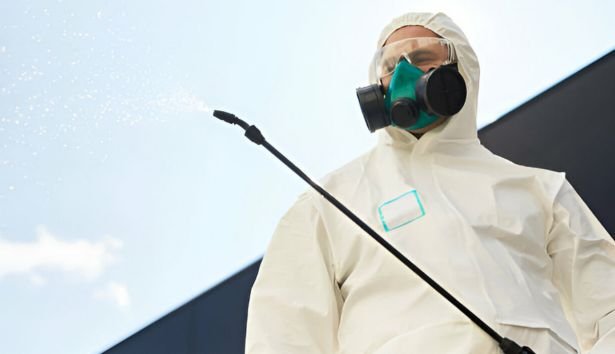 Pest Control La Trobe